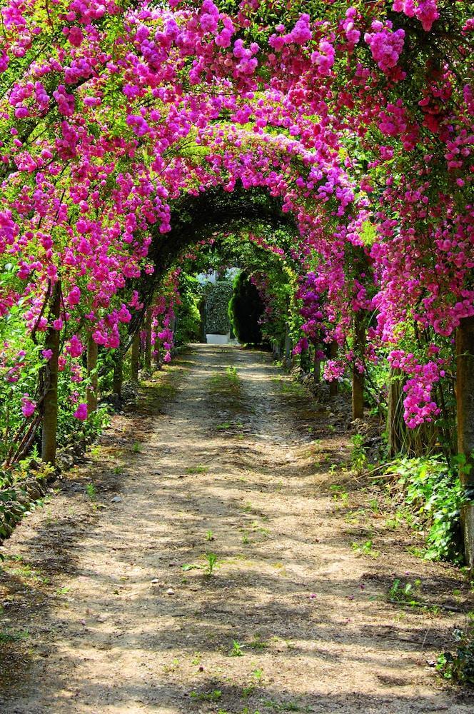 Quinta De Sao Lourenco Анадия Экстерьер фото